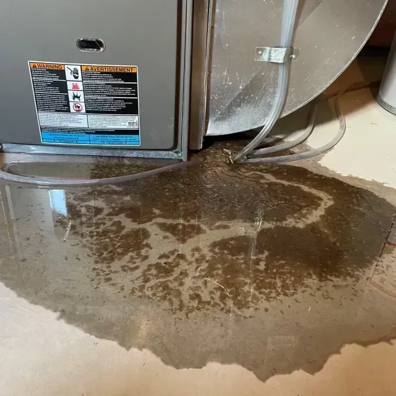 Appliance Leak Cleanup in Ponderosa Park, CO